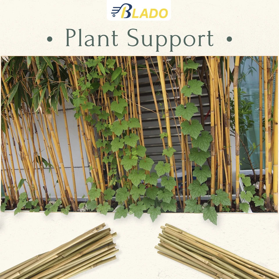 50 x 4ft Heavy Duty Bamboo Garden Canes Strong Thick Quality Plant Support