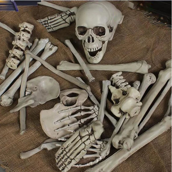 28PCS Bag of Bones Human Skull Skeleton Halloween Scary Pirate Party Decoration