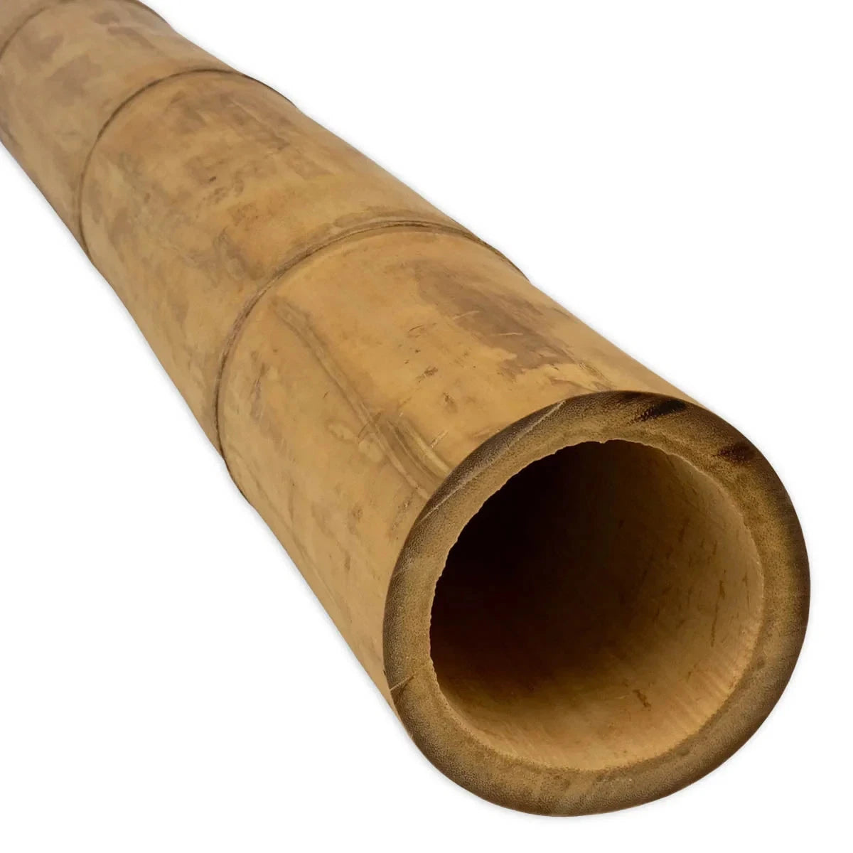 Guadua Natural Bamboo Pole 5-7cm Diameter Short Lengths Home Garden Decoration