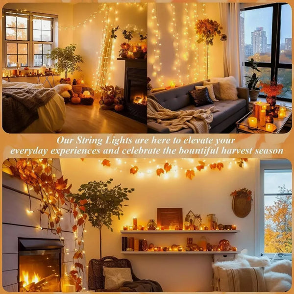 Fairy String Lights 10-50m Mains Plug In Christmas Tree Indoor & Outdoor Remote