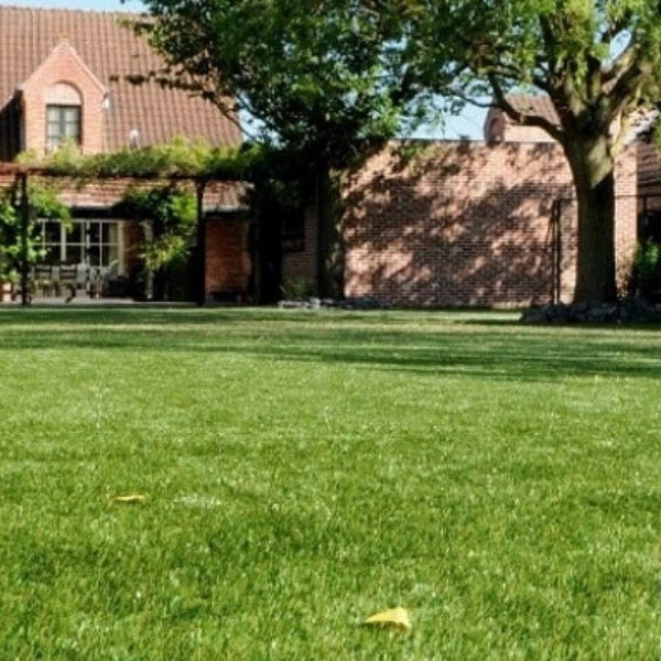 40mm Budget Artificial Grass Astro Cheap Lawn Fake Turf