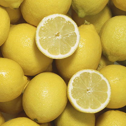 Lemon Lunario, Fragrant and Fruiting, 70-90cm Tall, 4L Potted