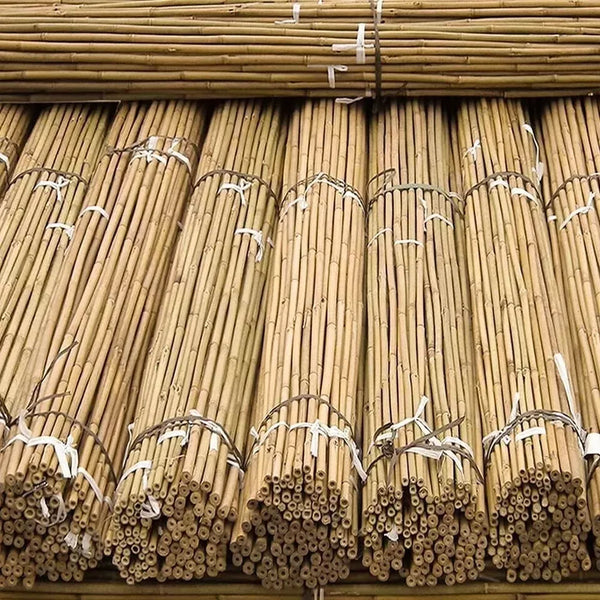 50 x 4ft Heavy Duty Bamboo Garden Canes Strong Thick Quality Plant Support