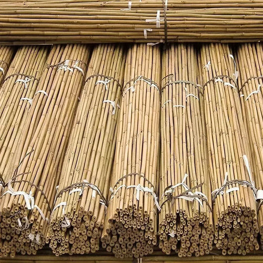 50 x 4ft Heavy Duty Bamboo Garden Canes Strong Thick Quality Plant Support