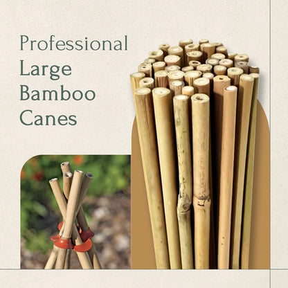 50 x 4ft Heavy Duty Bamboo Garden Canes Strong Thick Quality Plant Support