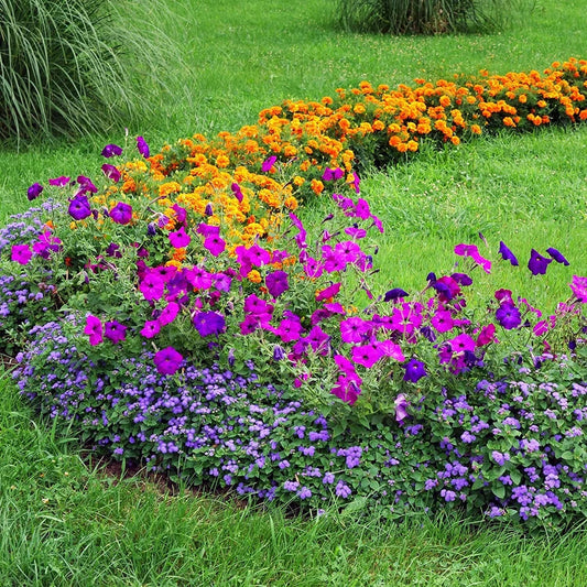 Compost Multi Purpose Garden 2 X 60L Bag Plants & Flowers