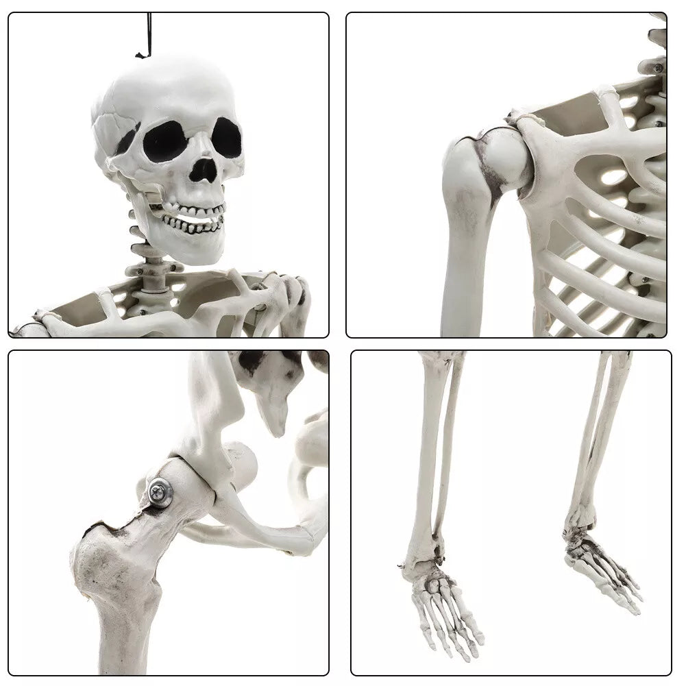 160CM Hanging Full Life Size Human Skeleton Model Halloween Party Prop Bar Decor