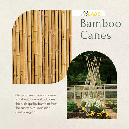 50 x 4ft Heavy Duty Bamboo Garden Canes Strong Thick Quality Plant Support