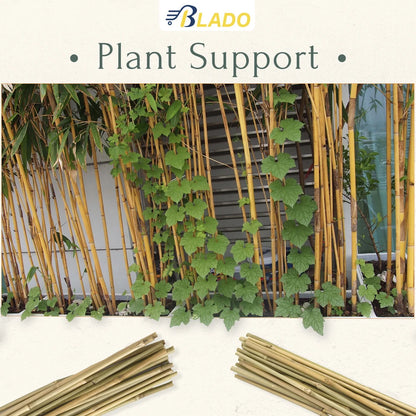 50 x 4ft Heavy Duty Bamboo Garden Canes Strong Thick Quality Plant Support