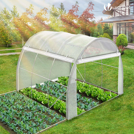 Polytunnel Greenhouse Grow House with Roll-up Side Walls, 3x2x2m 6m²