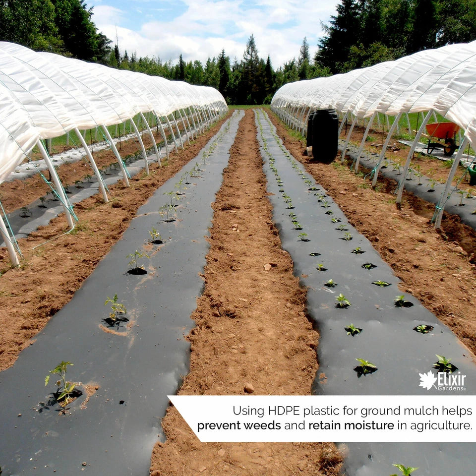 2m x 5m 500g Clear Polythene Plastic Green house Sheeting Heavy Duty Building