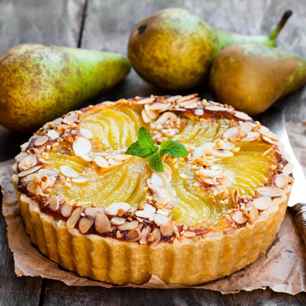 Mini Fruit Tree Patio Garden Plant Apples Pears Cherries Plums 9cm Potted