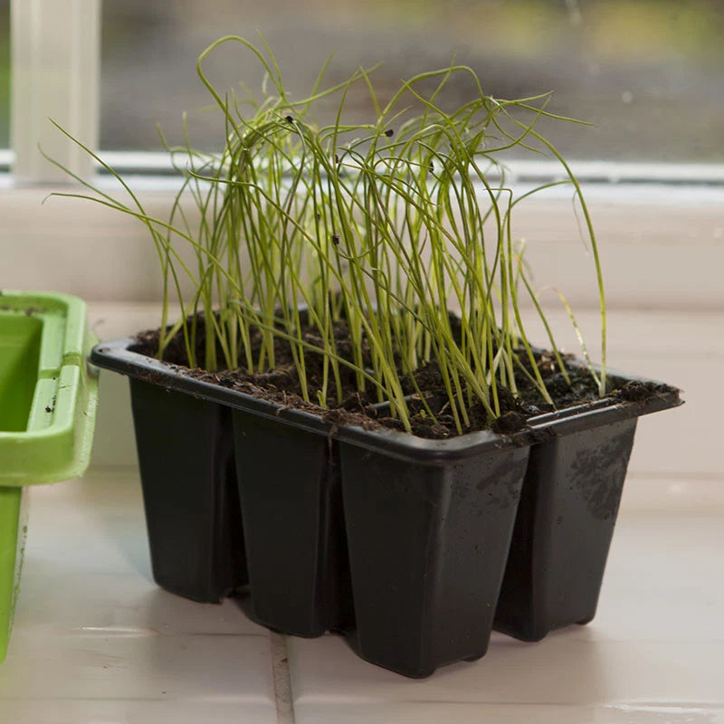 Windowsill Propagator Kit, Indoor Greenhouse, Set of 3, For 90 Plants, Reusable