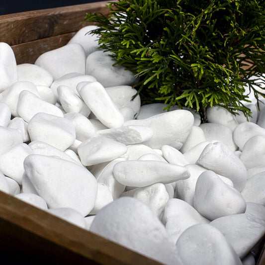 Decorative MARBLE EXTRA WHITE Stones / Pebbles HOME & GARDEN AQUARIUM 20-70 mm
