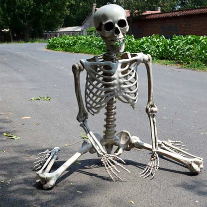 170cm Full Life Size Halloween Hanging Human Skeleton Bones Posable Skull Party