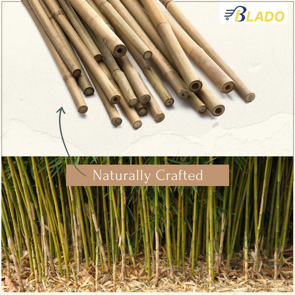 50 x 4ft Heavy Duty Bamboo Garden Canes Strong Thick Quality Plant Support