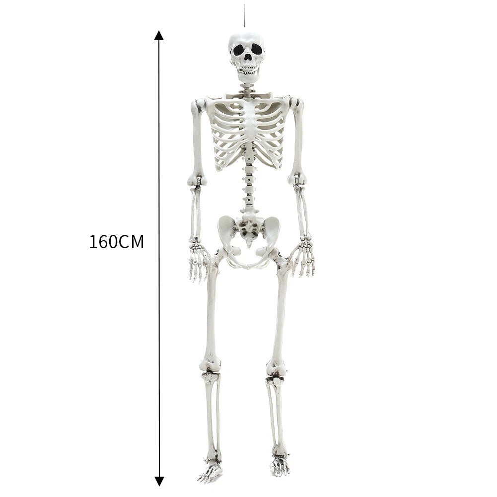 160CM Hanging Full Life Size Human Skeleton Model Halloween Party Prop Bar Decor