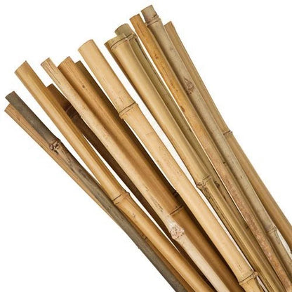 50 x 4ft Heavy Duty Bamboo Garden Canes Strong Thick Quality Plant Support