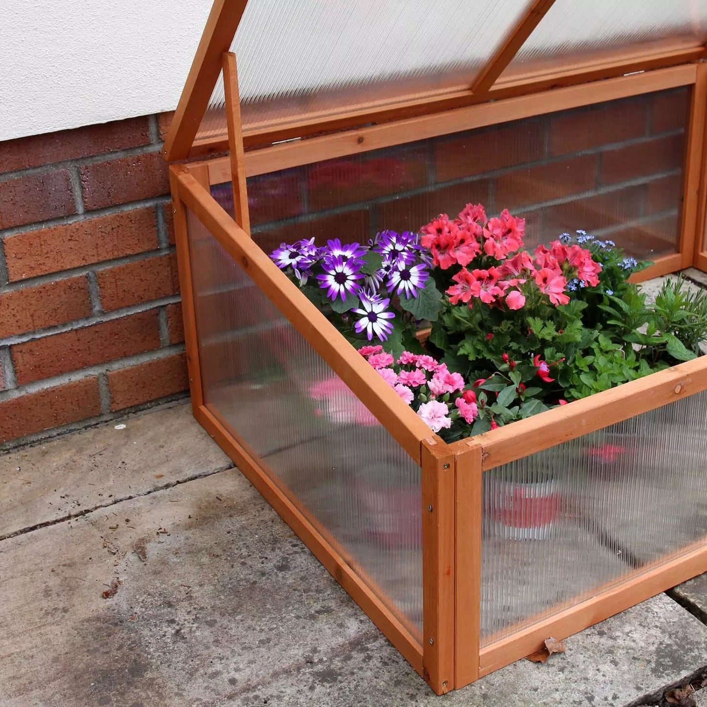 Wooden Cold Frame Mini Green Grow House Garden Plants Vegetables Seeds