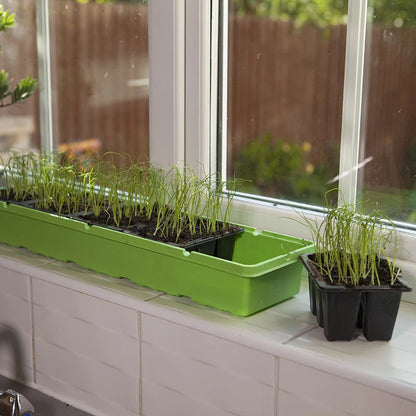 Windowsill Propagator Kit, Indoor Greenhouse, Set of 3, For 90 Plants, Reusable
