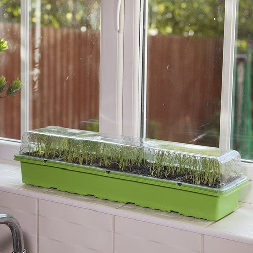 Windowsill Propagator Kit, Indoor Greenhouse, Set of 3, For 90 Plants, Reusable