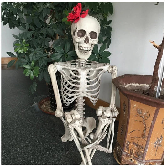 Halloween Human Skeleton Poseable Full Life Size Decoration Party Prop 90 cm