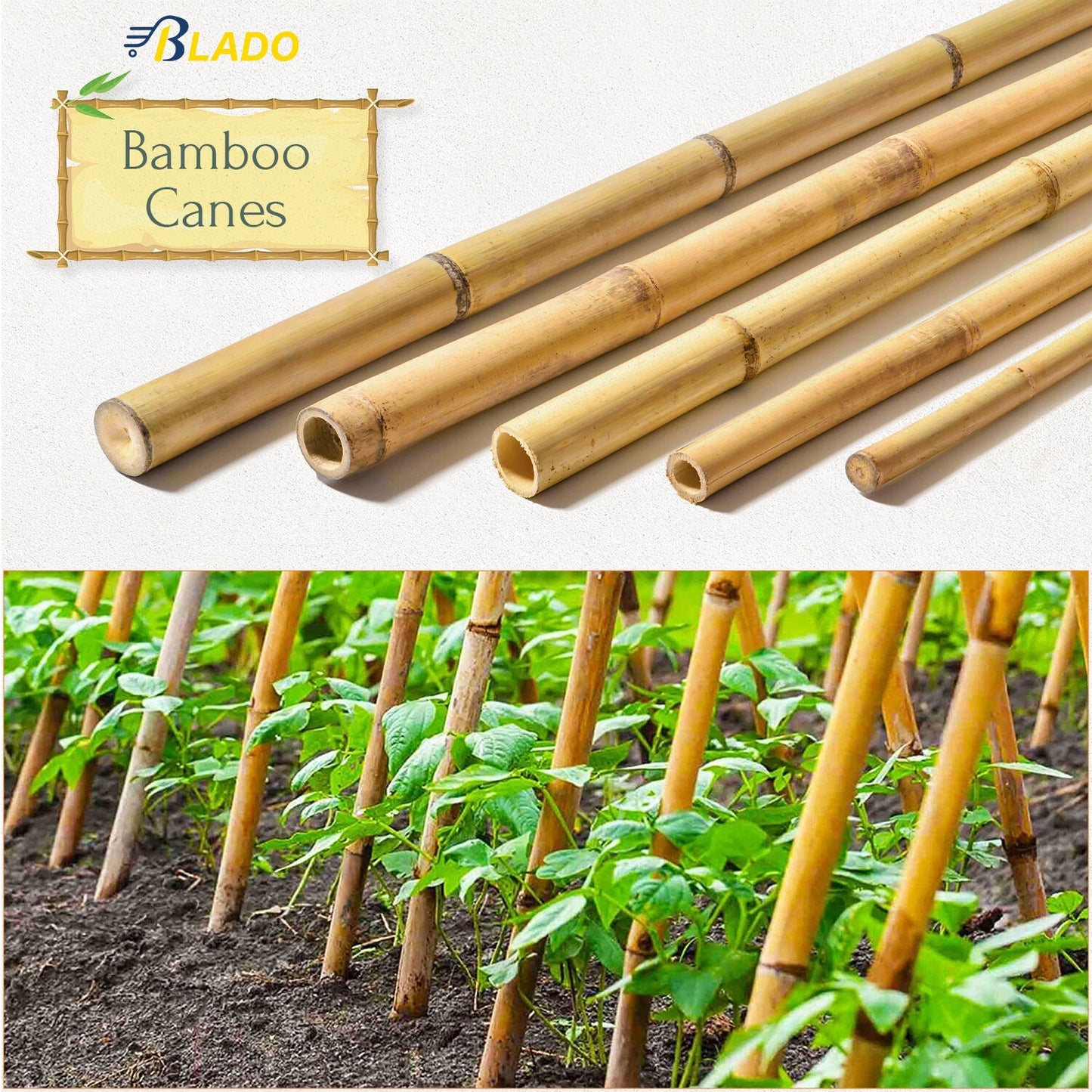 50 x 4ft Heavy Duty Bamboo Garden Canes Strong Thick Quality Plant Support