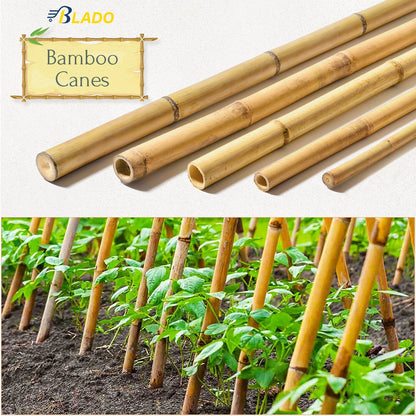 50 x 4ft Heavy Duty Bamboo Garden Canes Strong Thick Quality Plant Support