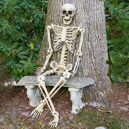 170cm Full Life Size Halloween Hanging Human Skeleton Bones Posable Skull Party