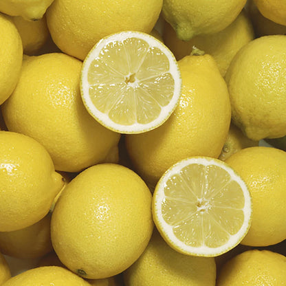 Citrus Fruit Tree, Lemon Citron, Fragrant Evergreen, 7?9cm Pot, Grow Your Own