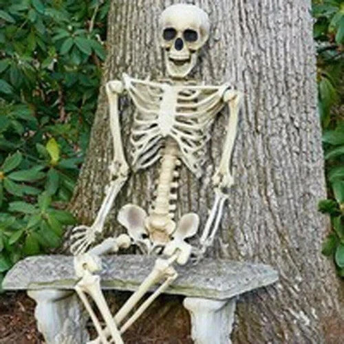 Halloween Human Skeleton Poseable Full Life Size Decoration Party Prop 90 cm