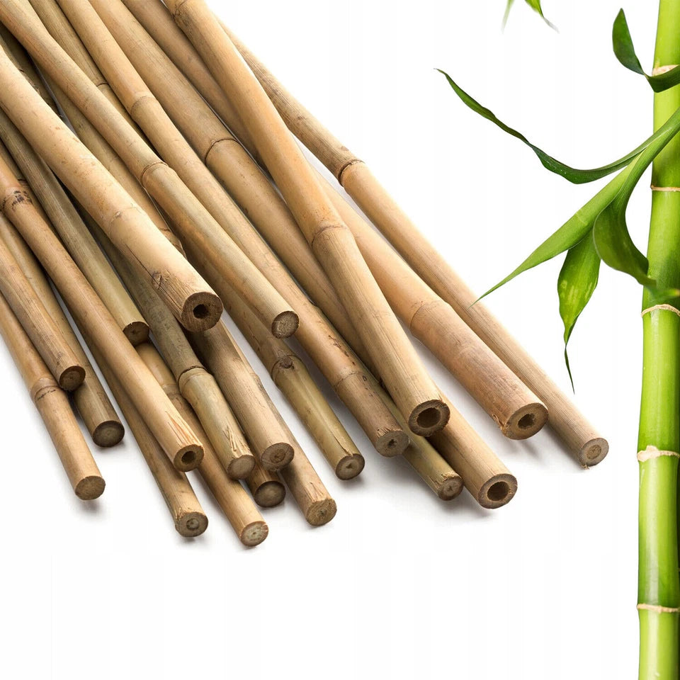 50 x 4ft Heavy Duty Bamboo Garden Canes Strong Thick Quality Plant Support