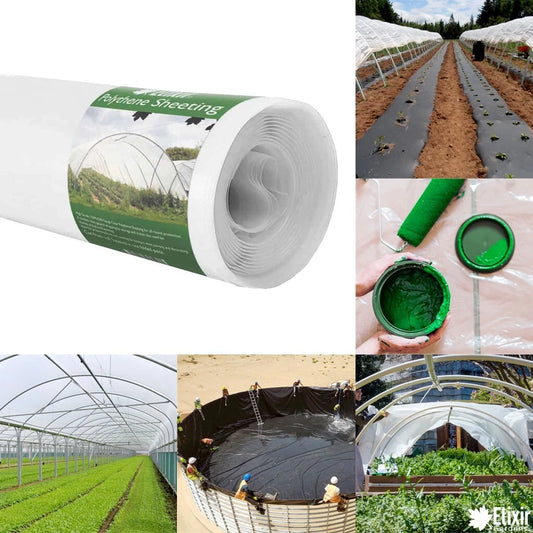 2m x 5m 500g Clear Polythene Plastic Green house Sheeting Heavy Duty Building