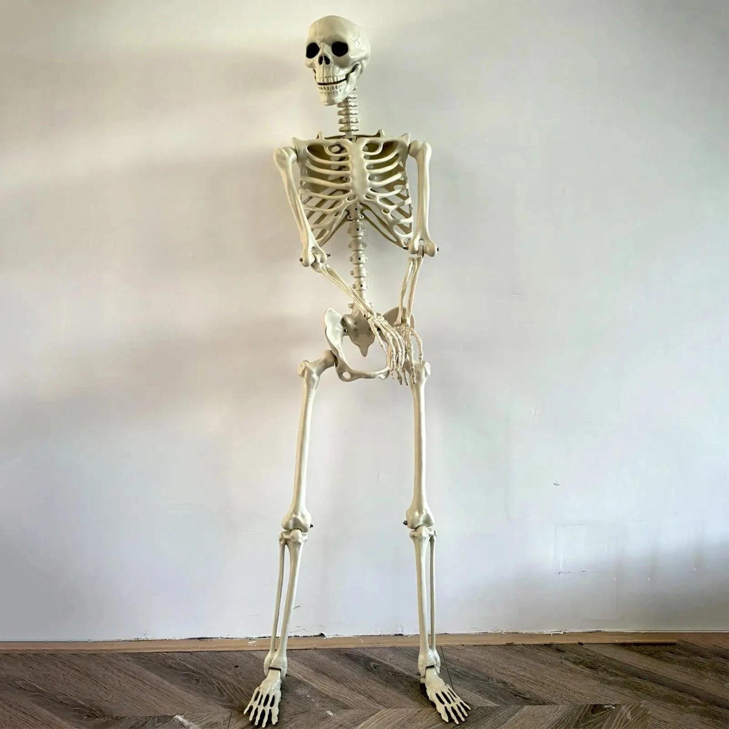 Halloween Human Skeleton Poseable Full Life Size Decoration Party Prop 90 cm