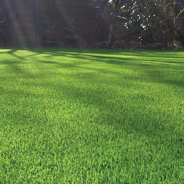 40mm Budget Artificial Grass Astro Cheap Lawn Fake Turf