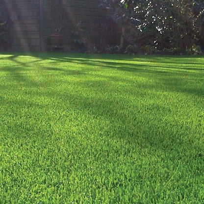 40mm Budget Artificial Grass Astro Cheap Lawn Fake Turf