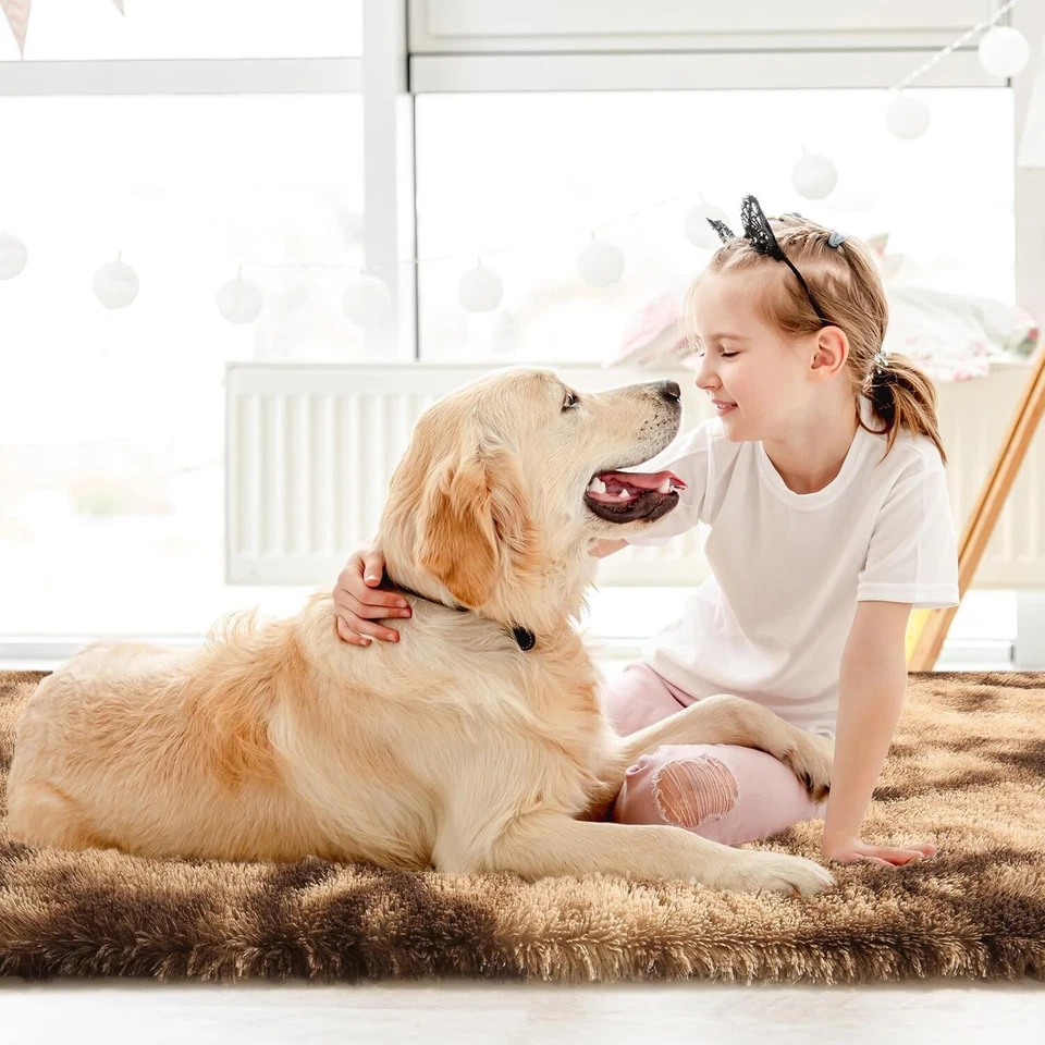 Fluffy Rugs Large Shaggy Rug Bedroom Living Room Anti Slip Soft Carpet